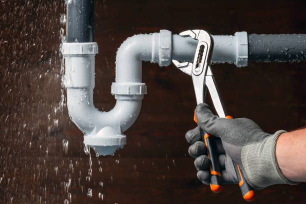 Professional Plumbing technician working in Hamburg, MN